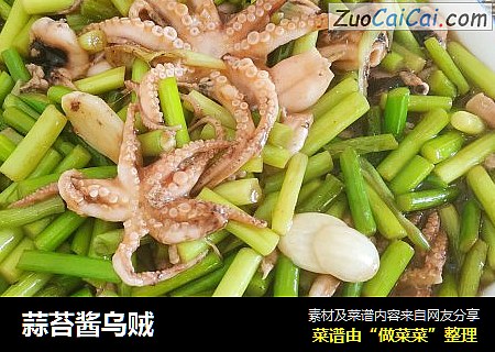 蒜苔酱乌贼