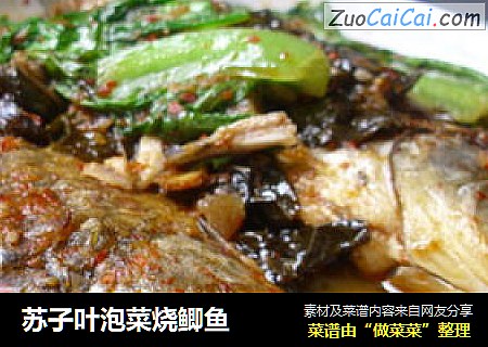 苏子叶泡菜烧鲫鱼