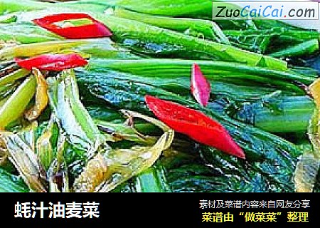 蚝汁油麦菜