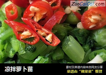 凉拌萝卜苗