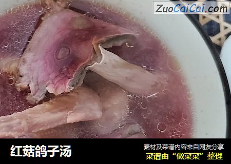 红菇鸽子汤