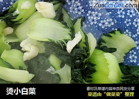 烫小白菜
