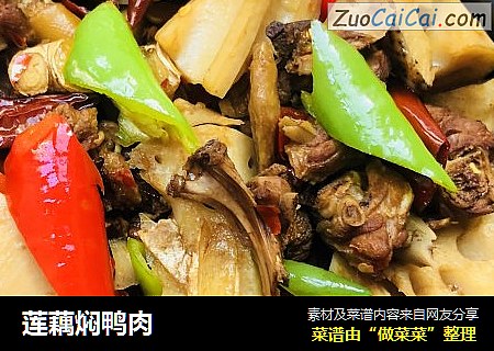 莲藕焖鸭肉