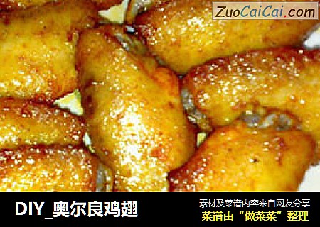 DIY_奥尔良鸡翅