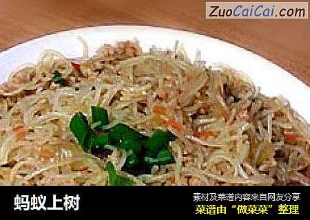 蚂蚁上树