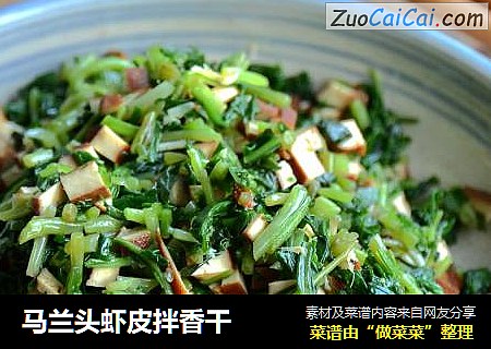 马兰头虾皮拌香干