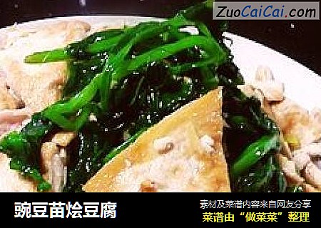 豌豆苗烩豆腐
