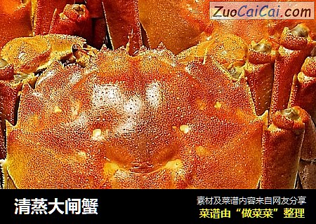 清蒸大闸蟹