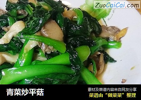 青菜炒平菇