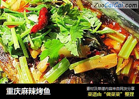 重庆麻辣烤鱼