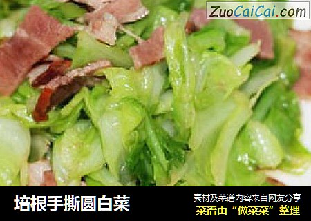 培根手撕圆白菜