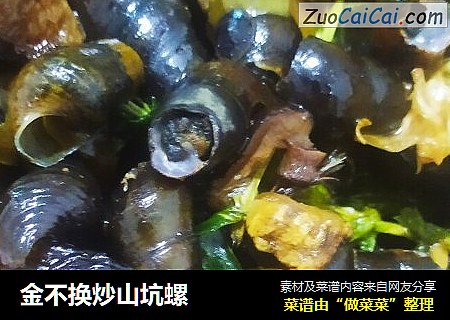 金不换炒山坑螺
