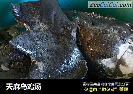 天麻乌鸡汤