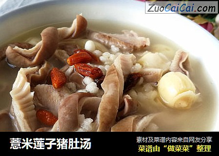 薏米莲子猪肚汤