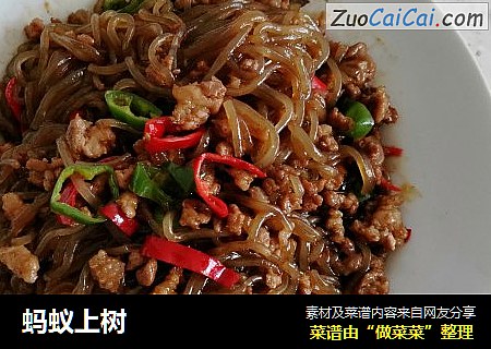 蚂蚁上树