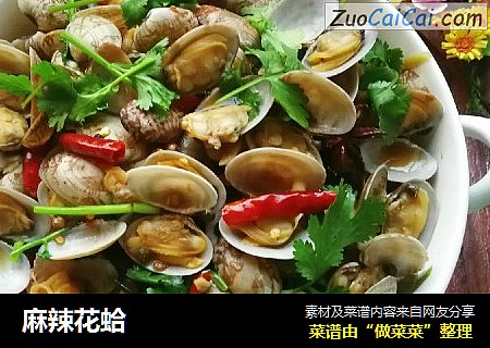 麻辣花蛤