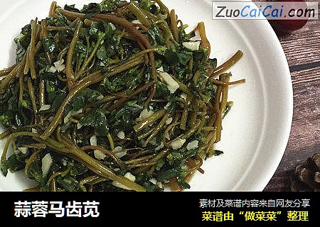 蒜蓉马齿苋