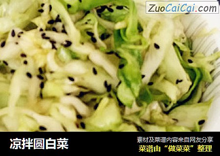 凉拌圆白菜