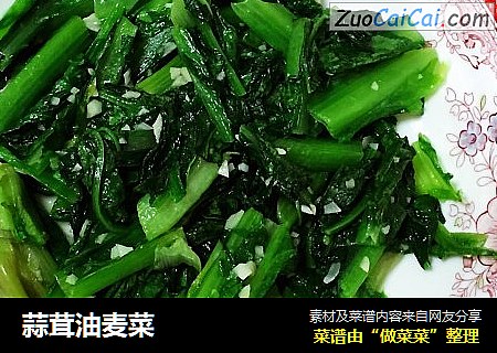 蒜茸油麦菜