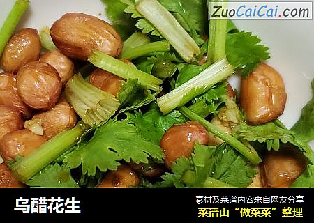 乌醋花生
