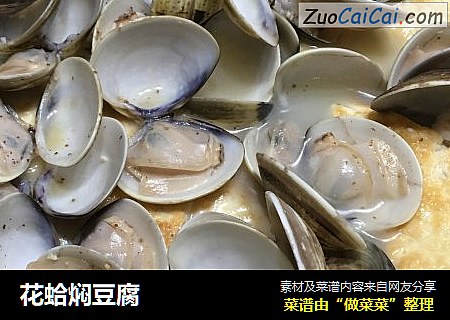 花蛤焖豆腐