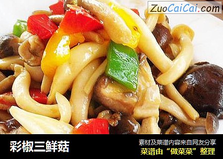 彩椒三鲜菇