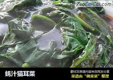 蚝汁猫耳菜
