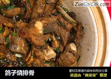 鸽子烧排骨