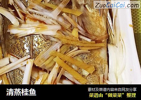 清蒸桂鱼