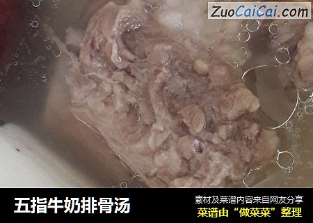 五指牛奶排骨汤