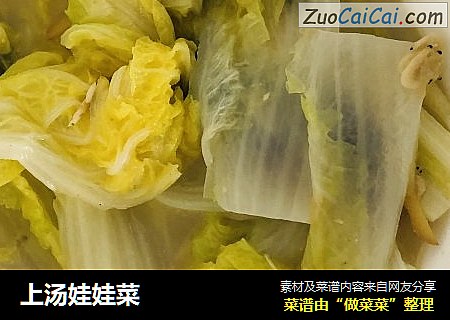 上汤娃娃菜