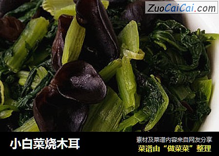 小白菜烧木耳