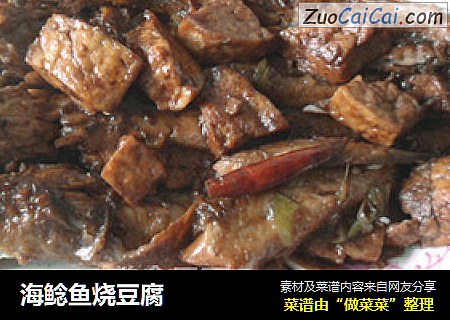 海鲶鱼烧豆腐