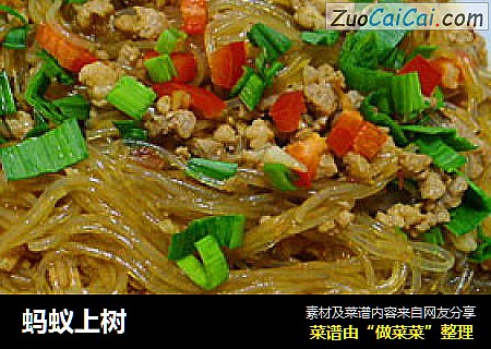 蚂蚁上树