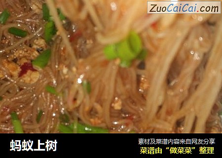 蚂蚁上树