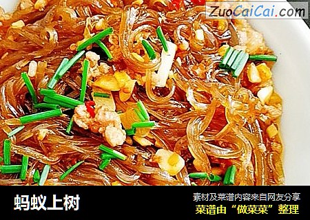 蚂蚁上树