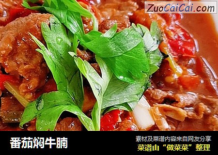 番茄焖牛腩
