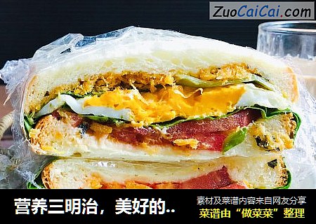 营养三明治，美好的一天从早餐开始