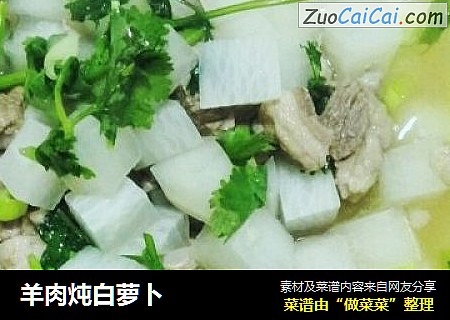 羊肉炖白萝卜