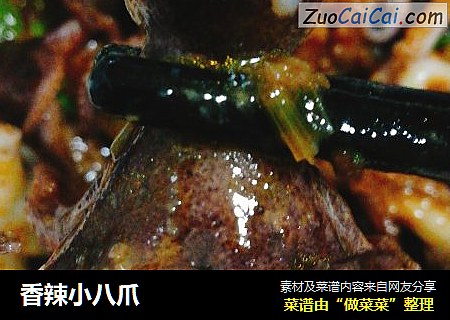 香辣小八爪