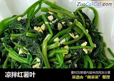 凉拌红薯叶