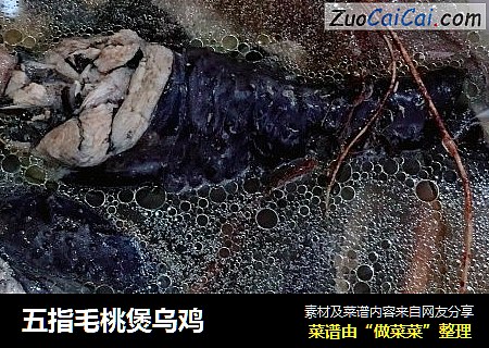 五指毛桃煲乌鸡