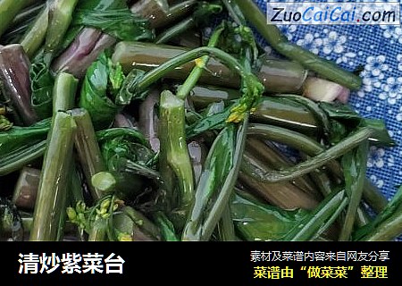 清炒紫菜台