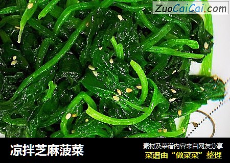 凉拌芝麻菠菜