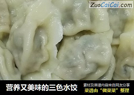 营养又美味的三色水饺