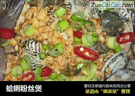 蛤蜊粉丝煲