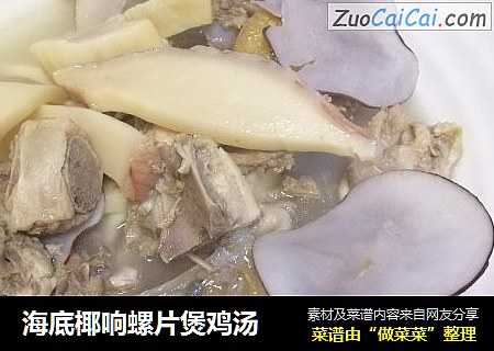 海底椰响螺片煲鸡汤