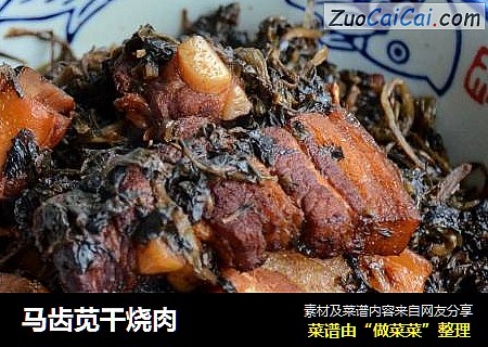 马齿苋干烧肉