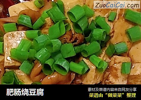 肥肠烧豆腐