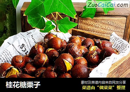 桂花糖栗子